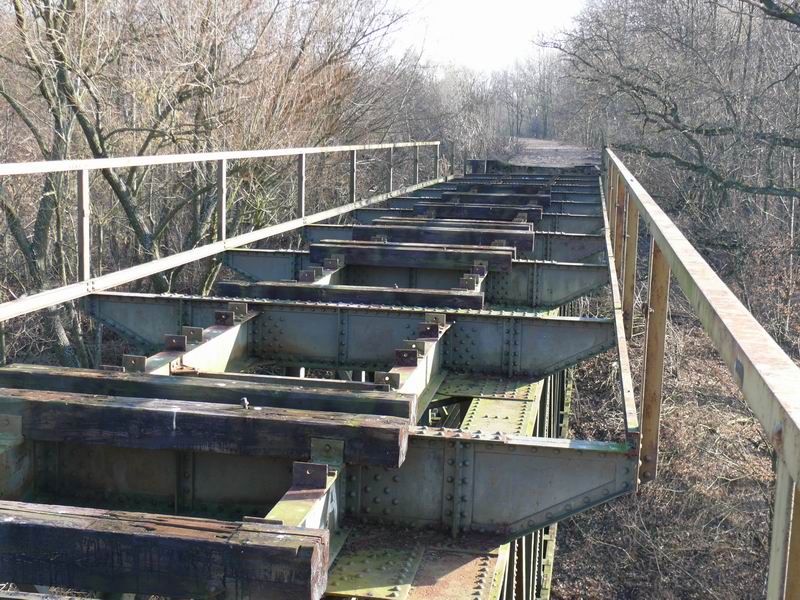 most linii Malbork-Myślice.JPG