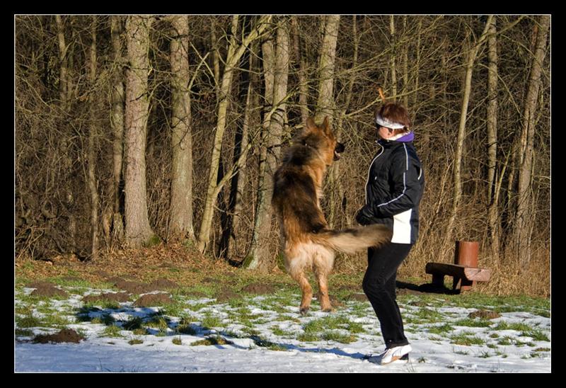 IMG_7131_copy (Medium).jpg