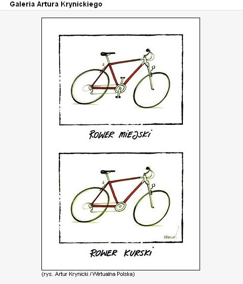 rower kurski.jpg