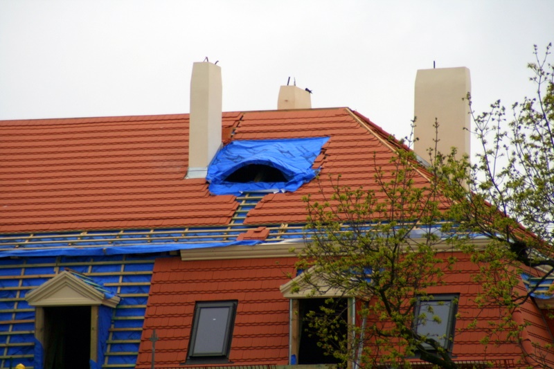 dach_5.JPG