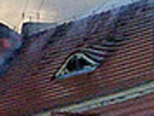 bawole2.jpg