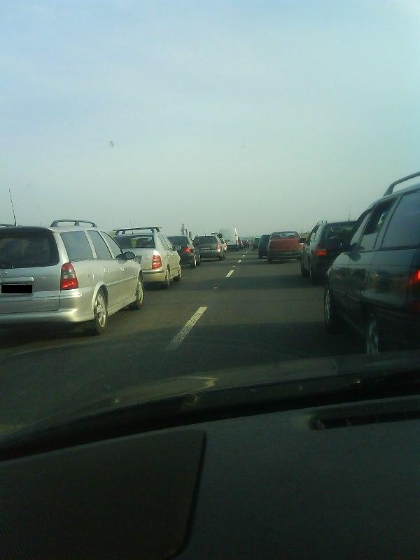 godzi. 18.00.JPG