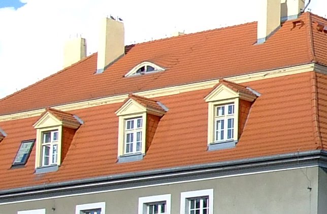 DSCF0003.JPG