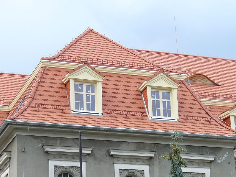 P1060365.jpg