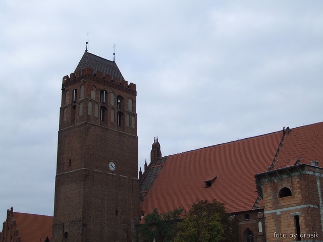 rsz_DSCF0002.jpg
