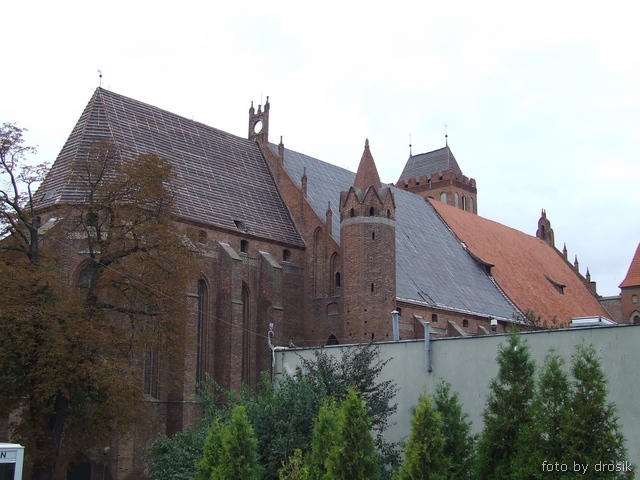 rsz_DSCF0022.jpg