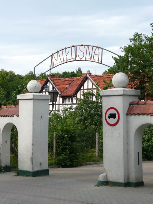 miłosna1.JPG