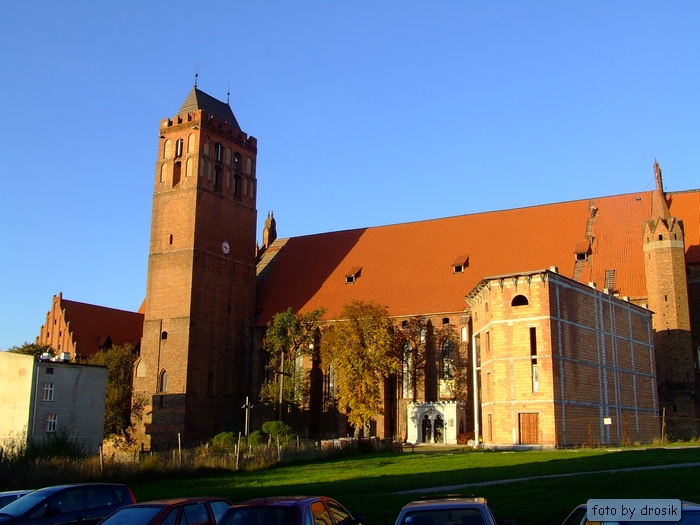 dach4.jpg