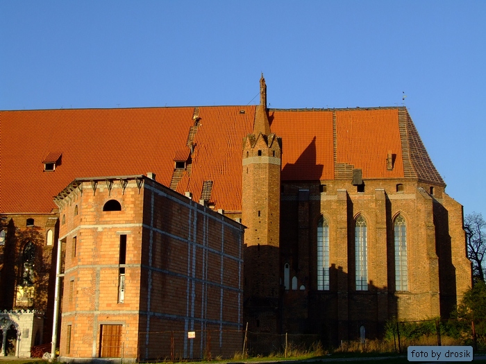 dach5.jpg