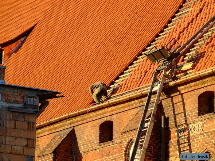 dach7.jpg