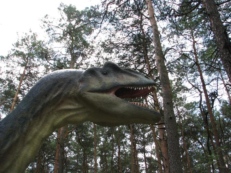 Jurapark_Solec Kujawski_06.JPG