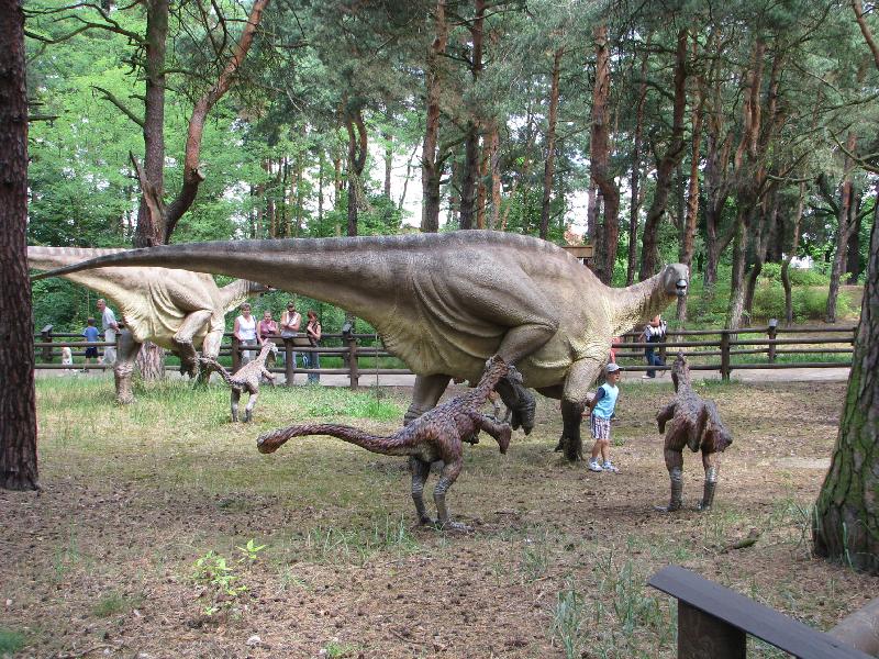Jurapark_Solec Kujawski_08.JPG