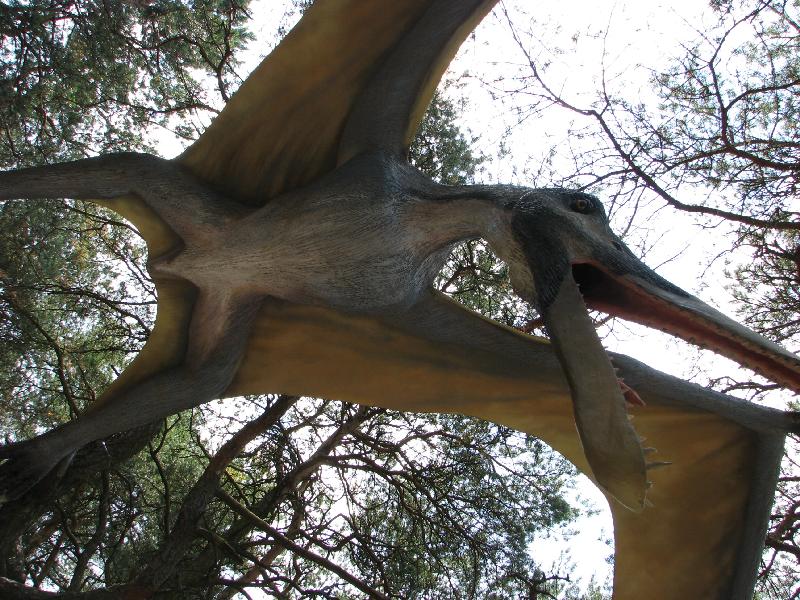 Jurapark_Solec Kujawski_00.JPG