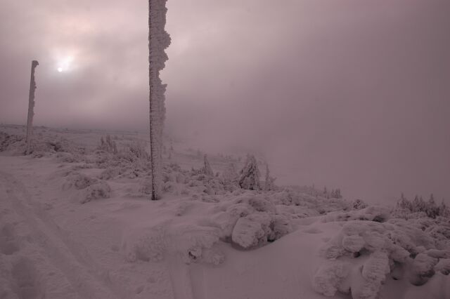 DSC_1558.jpg