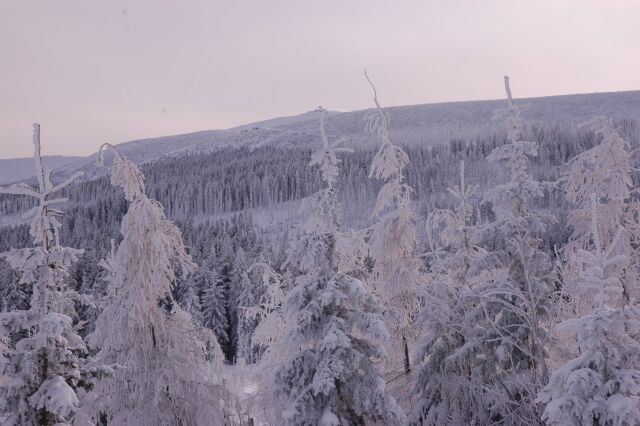 DSC_1607.jpg