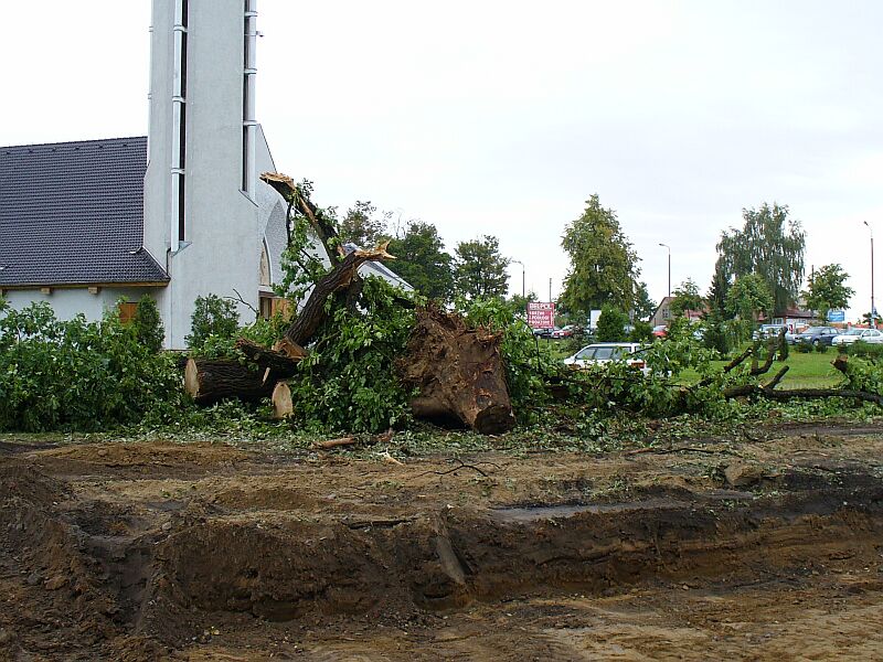 wycinka na Sportowej2.jpg