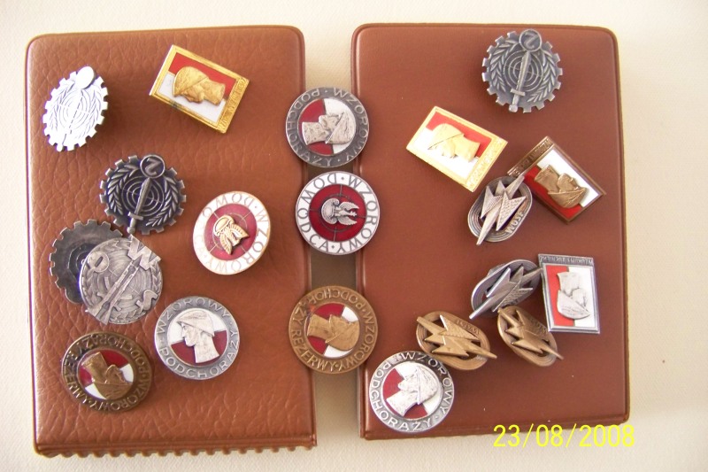 odznaki 3.JPG