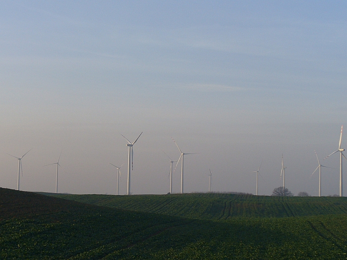 P1000814.jpg