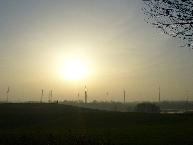 P1000831.jpg