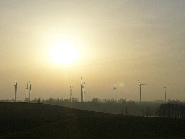 P1000830.jpg