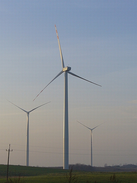 P1000840.jpg