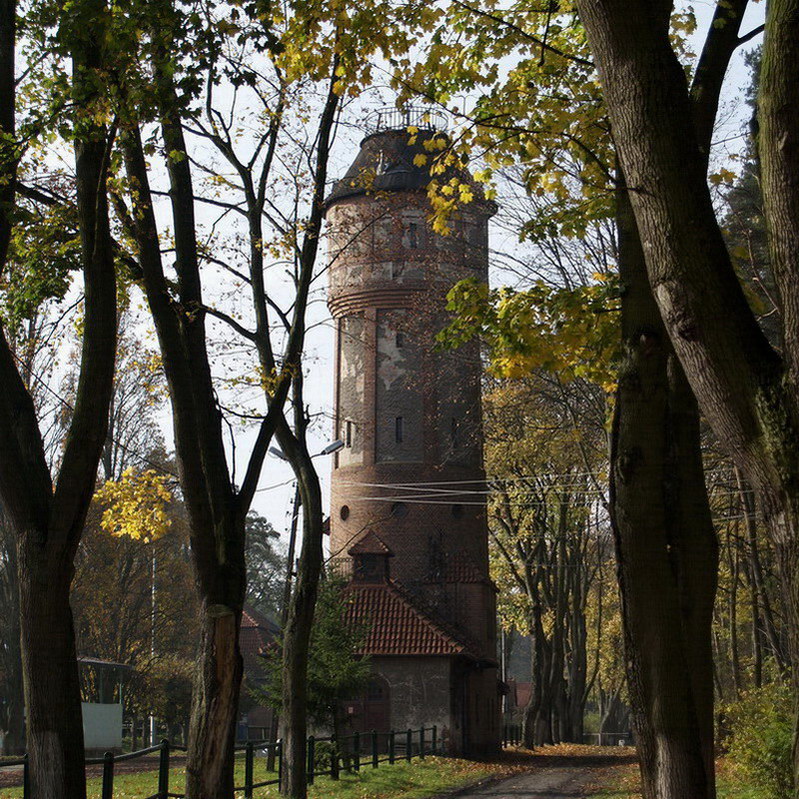 _O262862a.jpg
