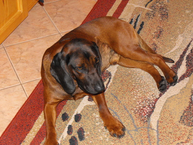 DSCF0074.JPG