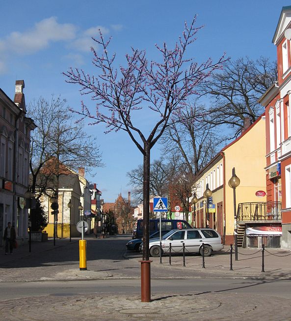 Obraz 048 drzewko.jpg