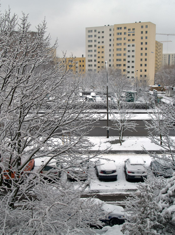 wiosna w warszawie.jpg