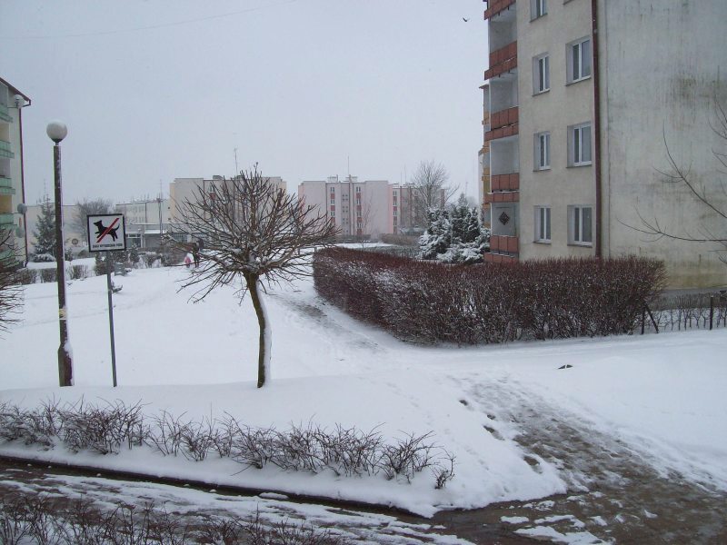 przyszła wiosna(1) 25 03 09.jpg