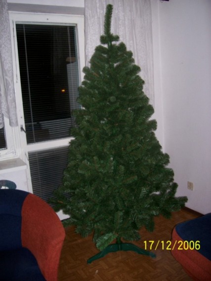 choinka 2006 (5).JPG