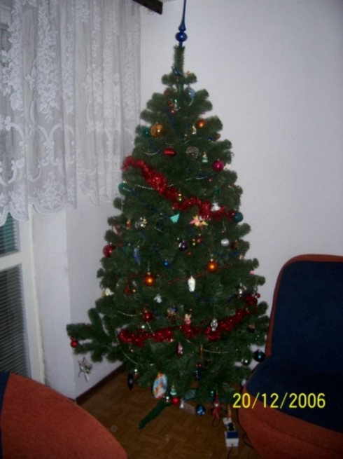 choinka 2006.JPG