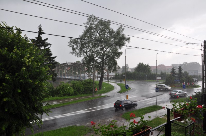 Obraz nikon 505 [].jpg