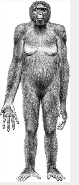 Pramatka z Etiopii.jpg