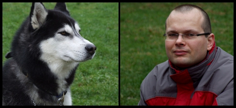 husky2-horz.jpg