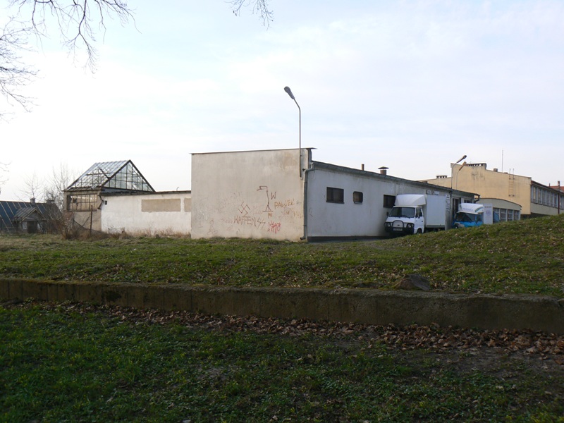 była dyskoteka za wikliną.JPG