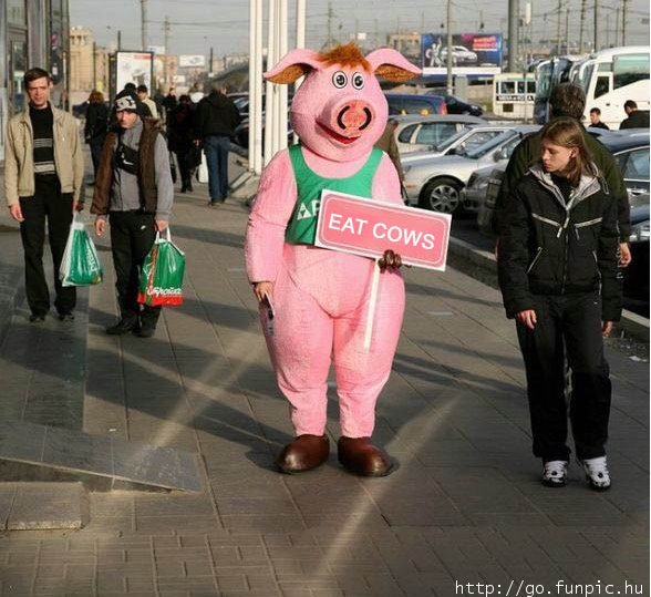 eat cows.jpg