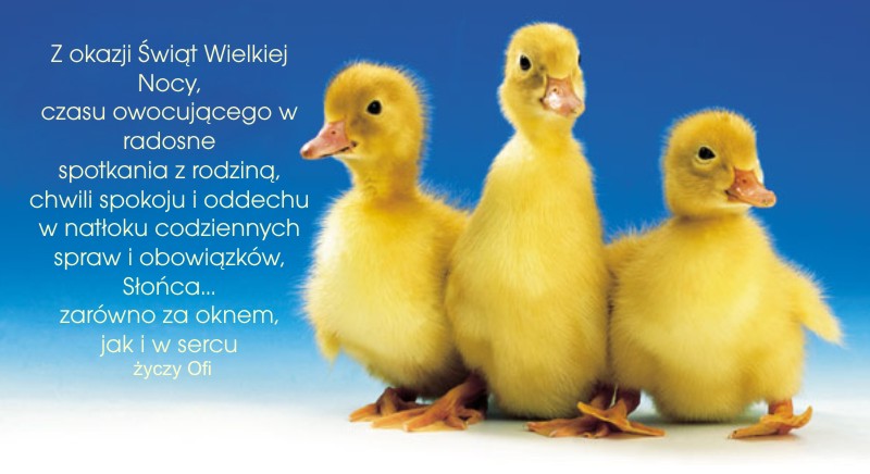 zyczenia OFI.jpg