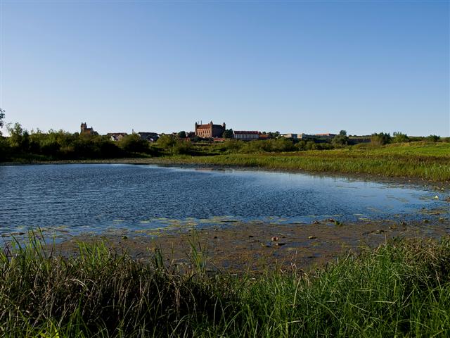P8230395.jpg