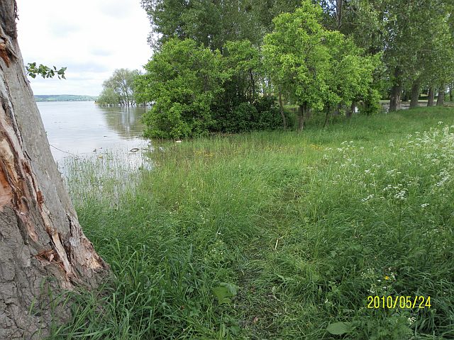 04 tu się spacerowało.jpg