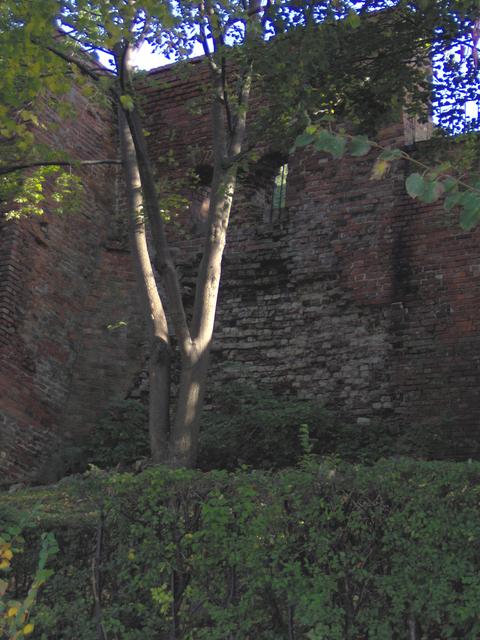 mury malbork.jpg