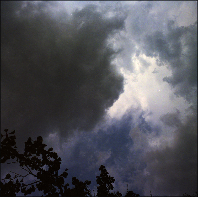 słoneczny poranek.jpg