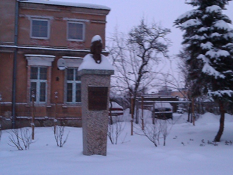 fryderyk na zimowo.jpg