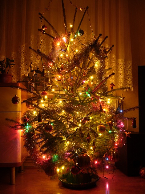Choin1.jpg