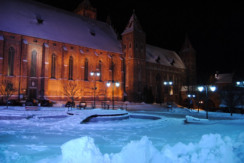 DSC_0233.JPG