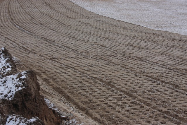 Zalążek DK 90....JPG