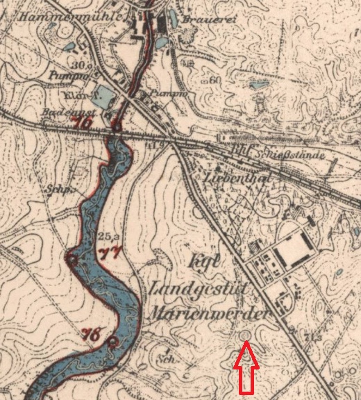 milosna co to za kółko.jpg