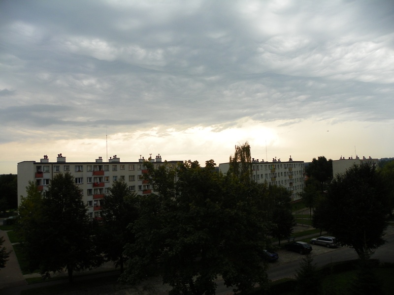 100_6177 - Kopia.JPG