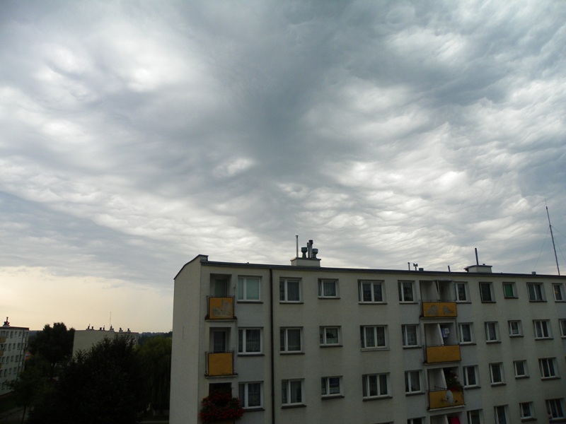 100_6180 - Kopia.JPG