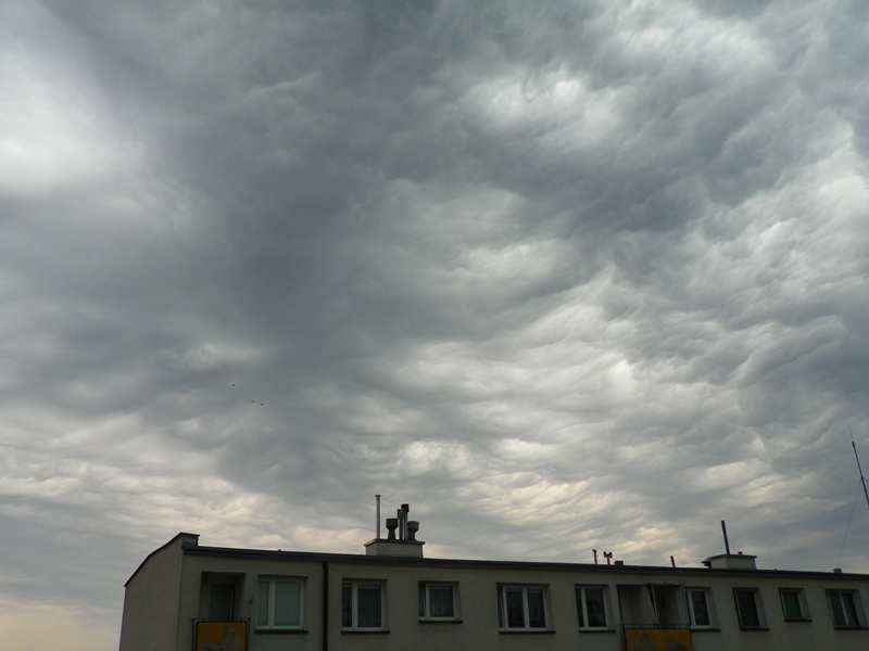 100_6182 - Kopia.JPG